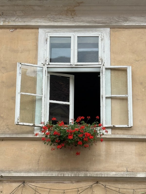 Brasov Old Town - 2026-07-25 14.43.33
